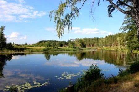 В Тамбовской области образованы два новых памятника природы 